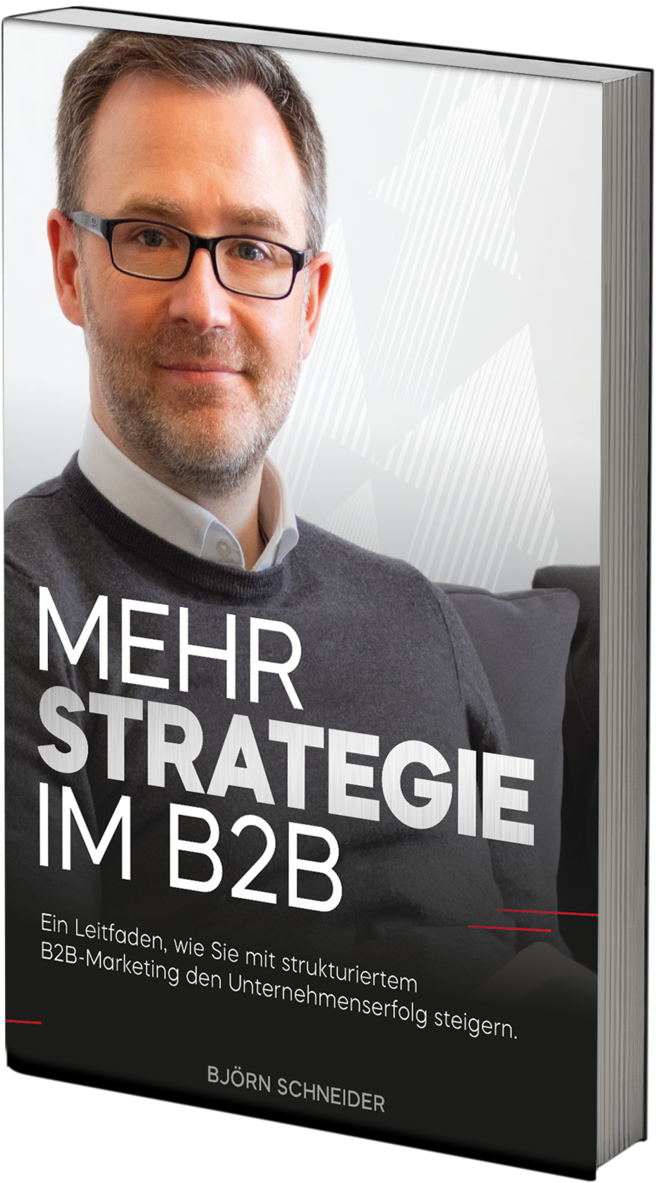 Das Buch Mehr Strategie im B2B von Björn Schneider Das Buch Mehr Strategie im B2B von Björn Schneider